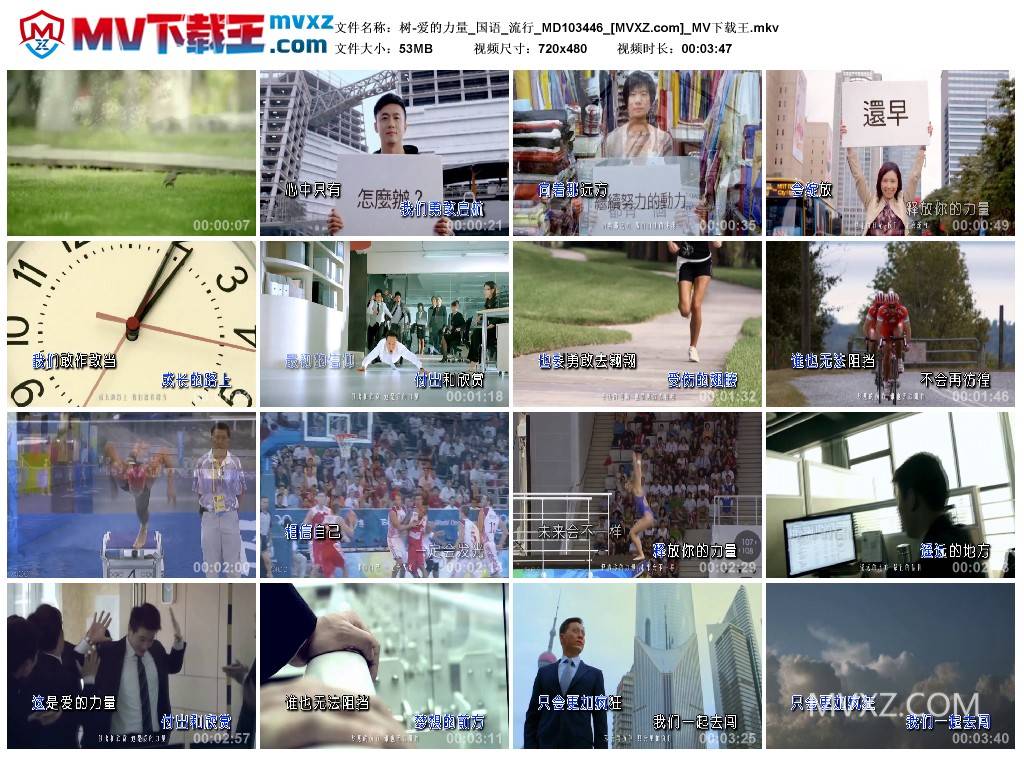 树-爱的力量_国语_流行_MD103446